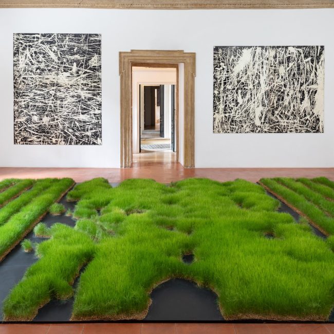 Falci - Installation Views 2